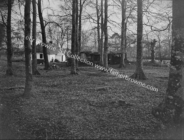 COTTAGE IN WOOD